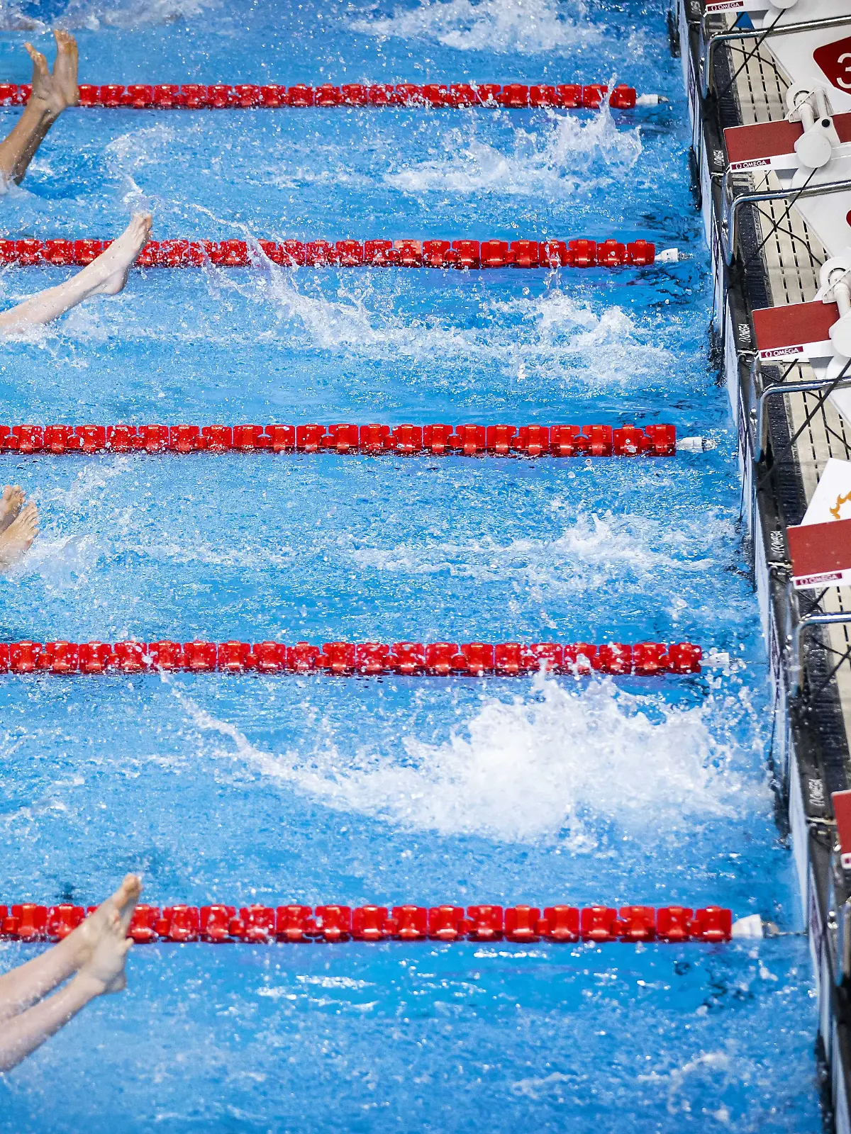 2024-02-17 10:06:24 DOHA  Schwimmer im 50er-Rücken der Männer am siebten Tag der Weltmeisterschaft im Langbahnschwimmen in Aktion. Die Weltmeisterschaften waren eine der Gelegenheiten für niederländische Schwimmer, ihre Grenzen für die Pariser Spiele im Jahr 2024 zu erreichen. ANP KOEN VAN WEEL