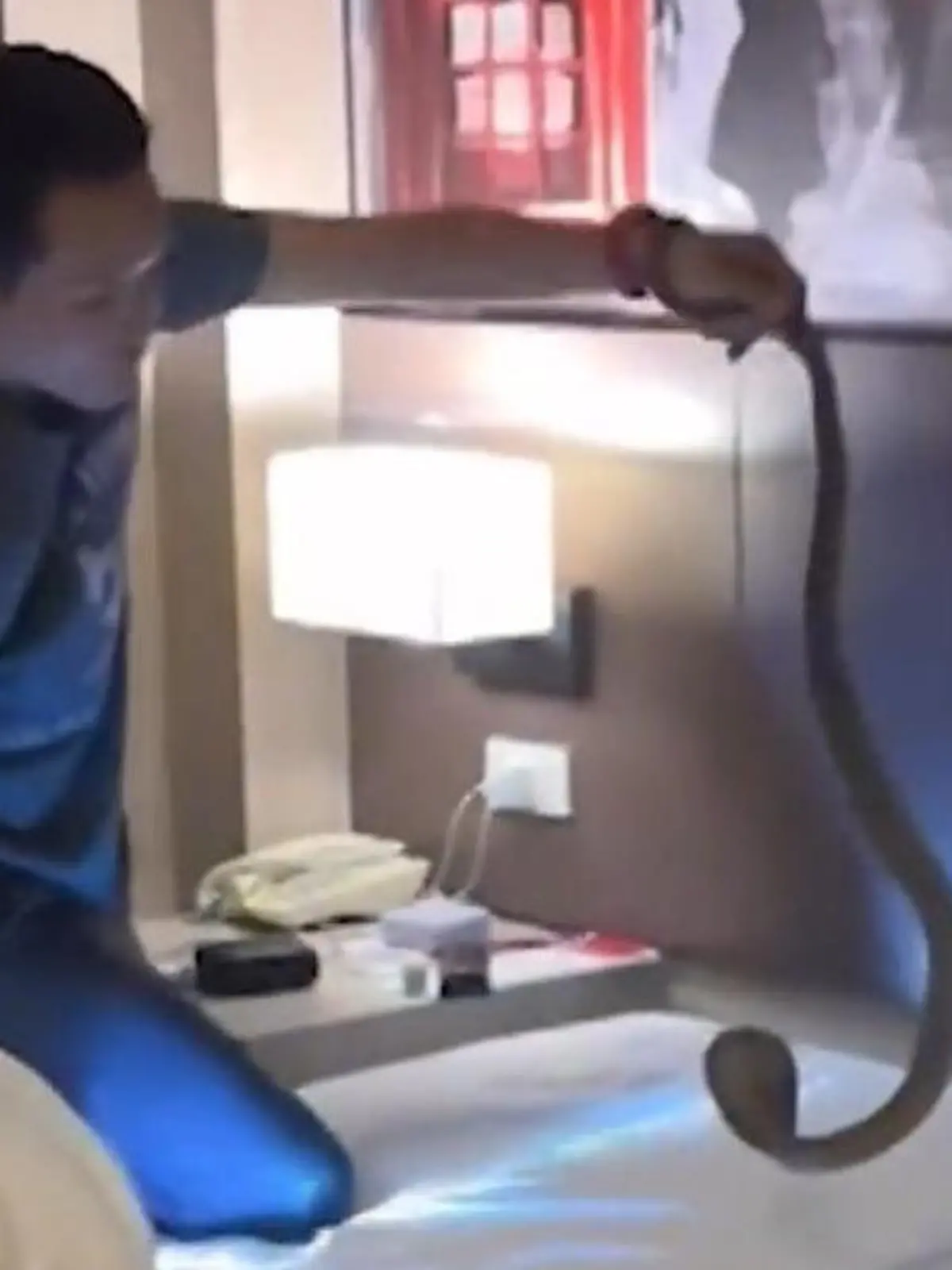 Bild zu: "Horror im Hotelbett! Tödliche Kobra lauert Touristen auf"