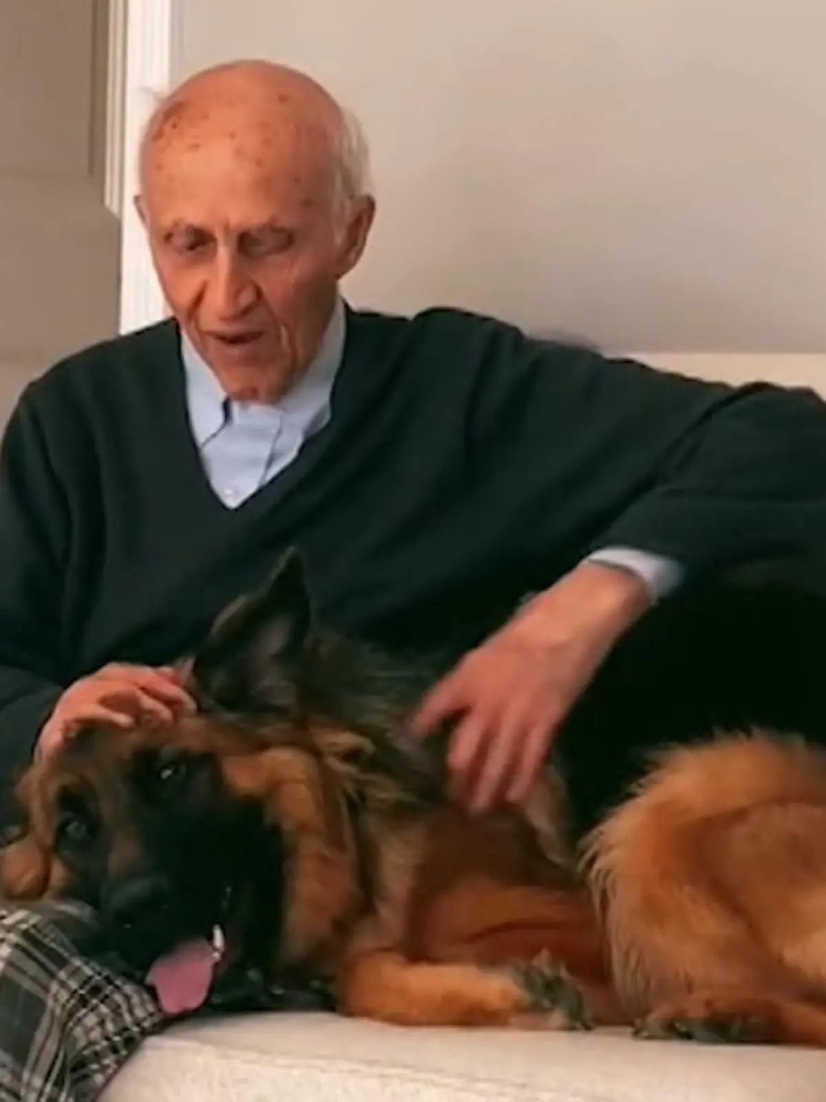Bild zu: "Opa und Schäferhund sind beste Freunde"