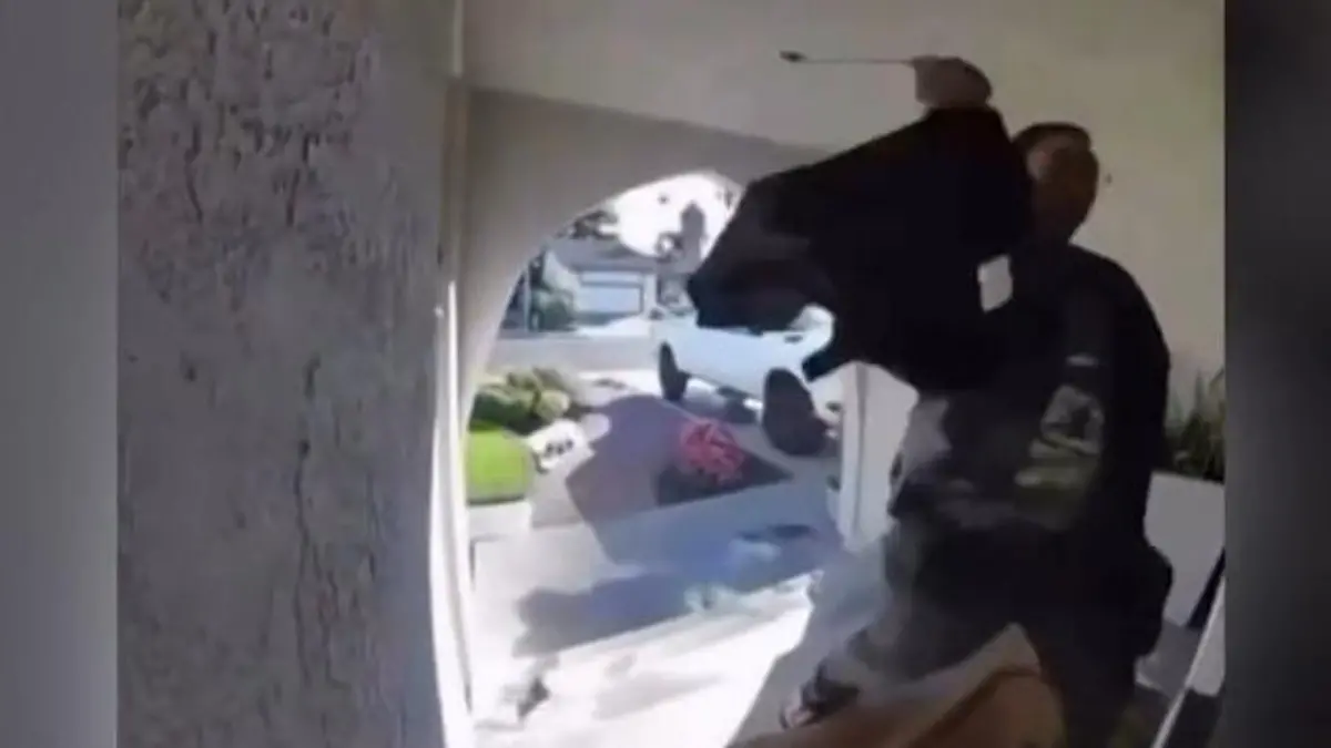 Unheimlicher Fremder dringt in Haus ein – dann eskaliert die Situation! Grusel-Video aus Kalifornien