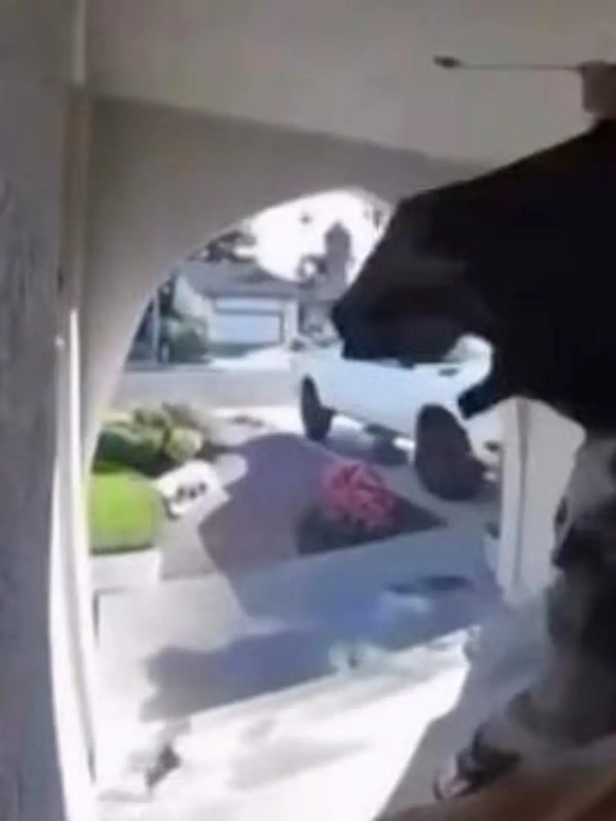 Bild zu: "Unheimlicher Fremder dringt in Haus ein – dann eskaliert die Situation!"