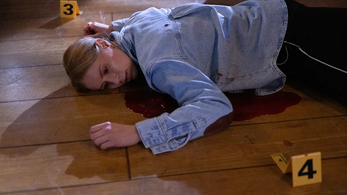 Wer hat Zoe (Lara Dandelion Seibert) ermordet?