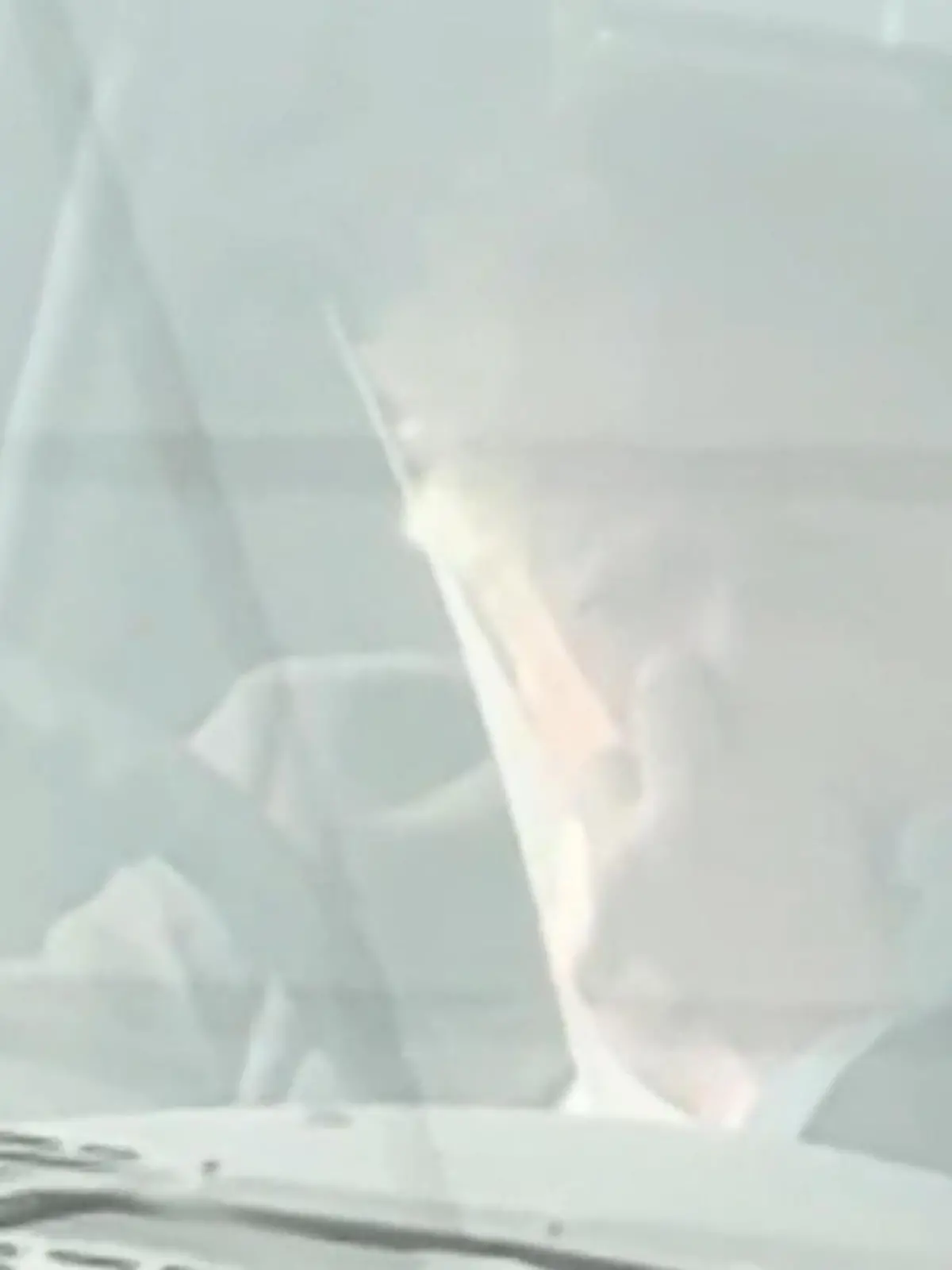 Bild zu: "Popel-Premier! Ex-Regierungschef Boris Johnson in flagranti erwischt"