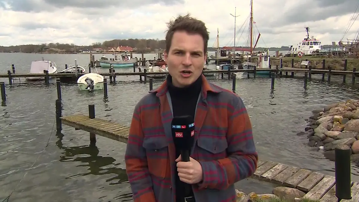 Belugawal in der Flensburger Förde gesichtet Neuer Wal in der Ostsee