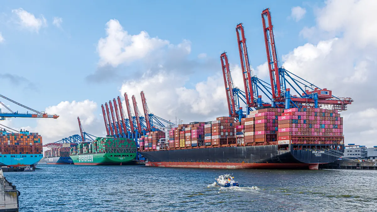 Containerschiffe liegen am Hamburger Burchardtkai. (zu dpa: «Hapag-Lloyd-Gewinn bricht ein – Nahost-Krise treibt Kosten») +++ dpa-Bildfunk +++