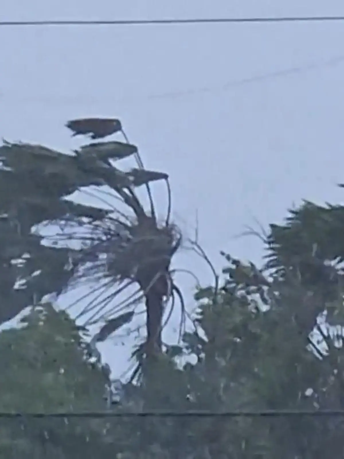 Bild zu: "Supertaifun wütet über Urlaubsparadies – jetzt greift Donald Trump ein! "