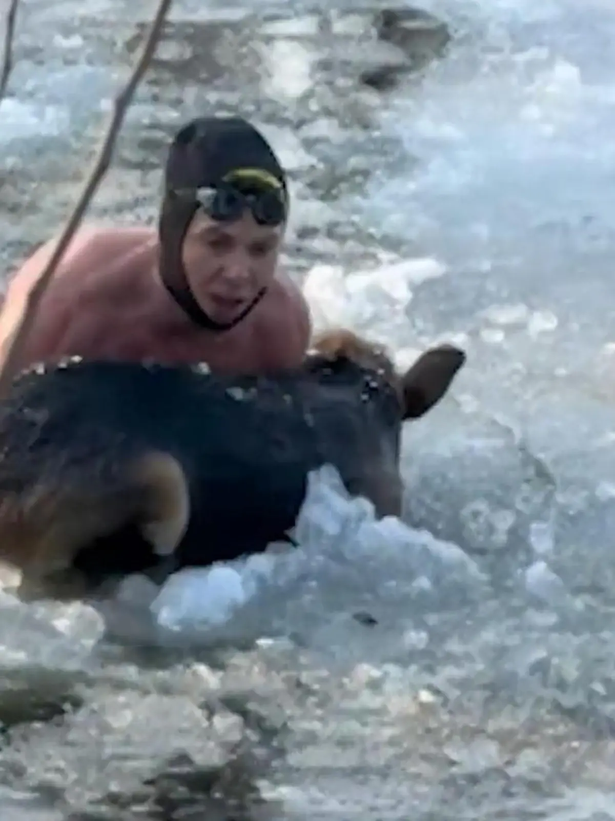 Bild zu: "Hund büxt aus und kracht durch zugefrorenen See – nur ER kann ihn retten!"