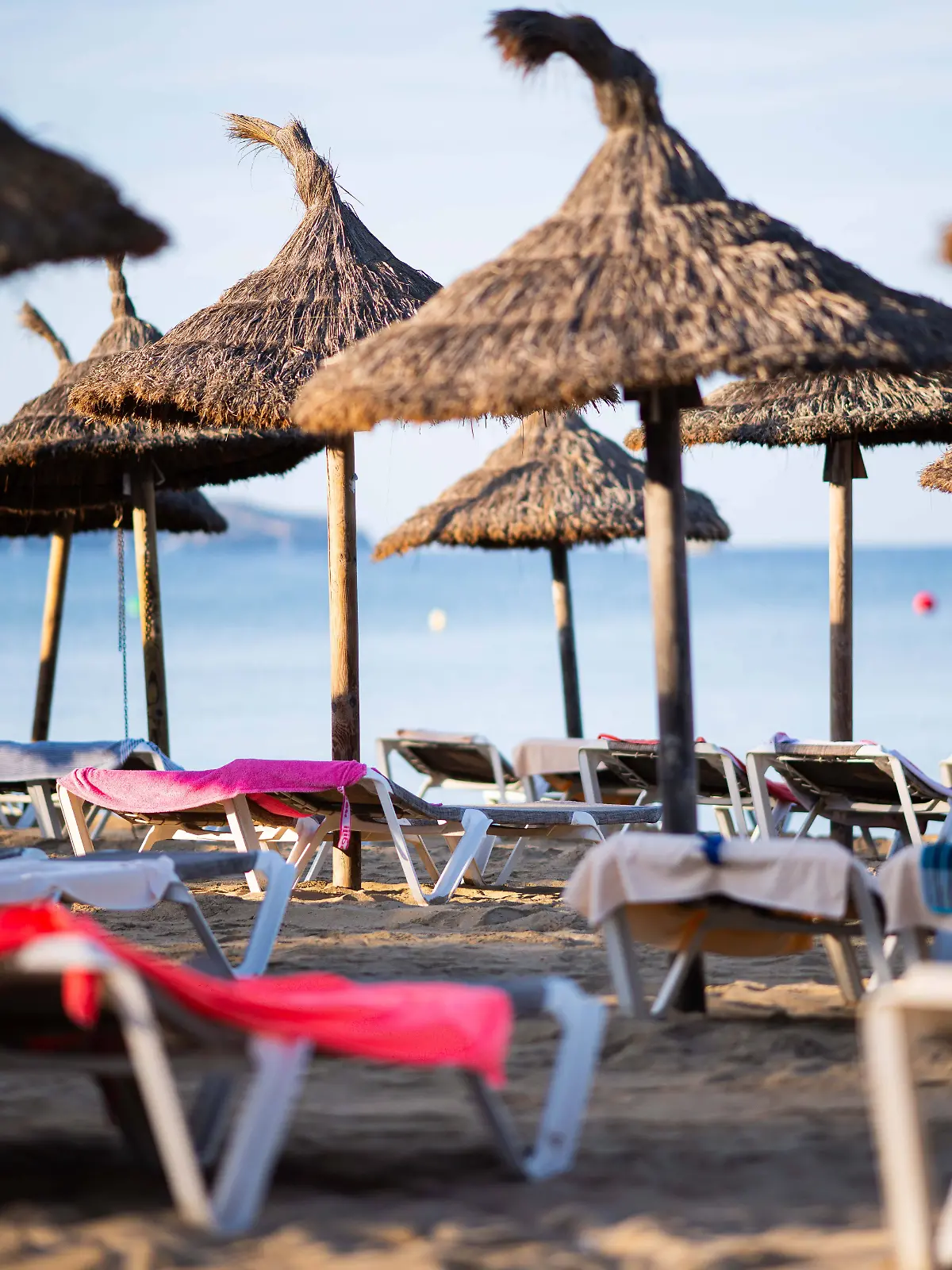 Bild zu: "Deutscher Mallorca-Urlauber will helfen und ertrinkt"