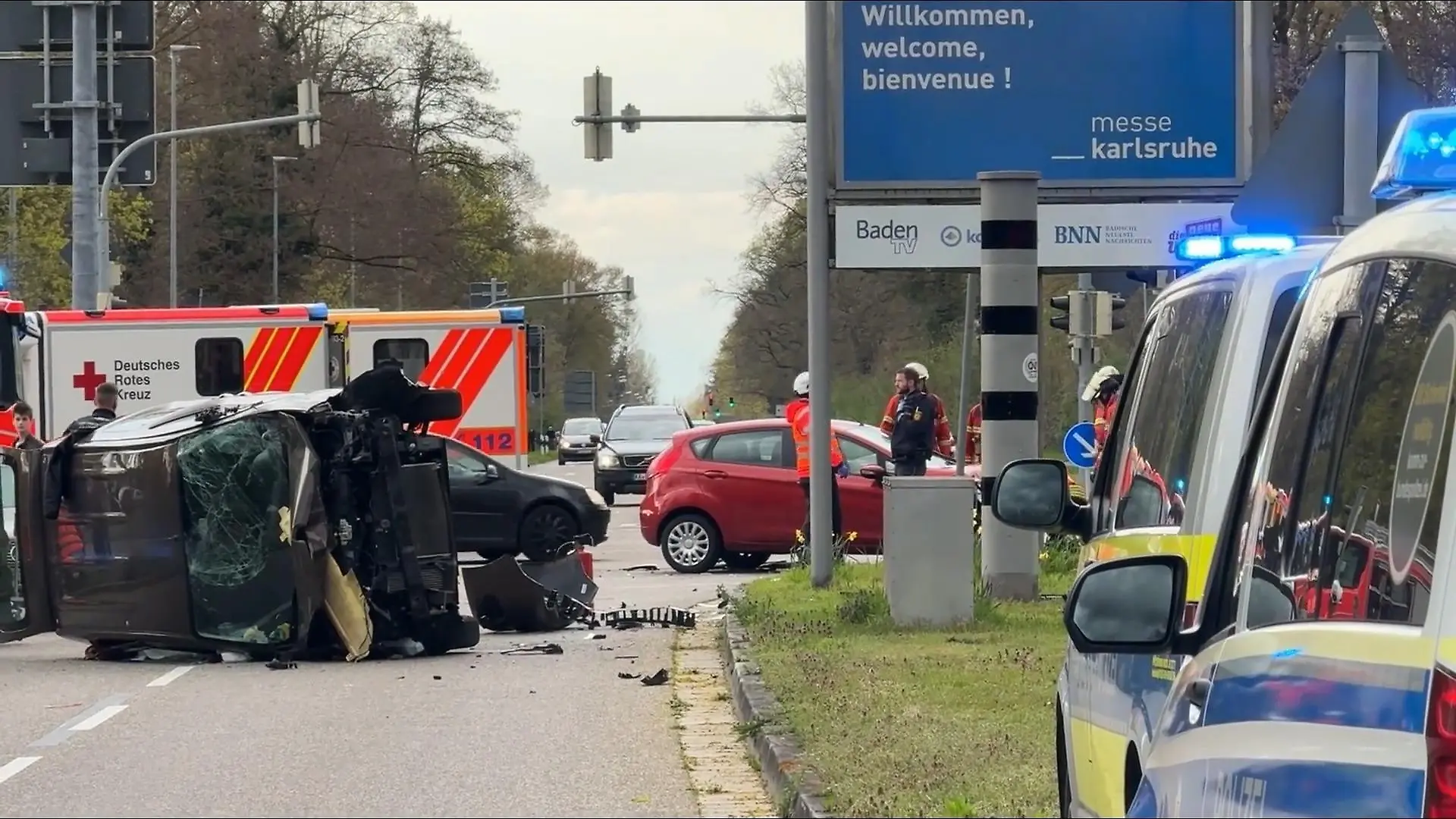 Ameisen lösen in Karlsruhe Verkehrschaos aus Schwerer Unfälle