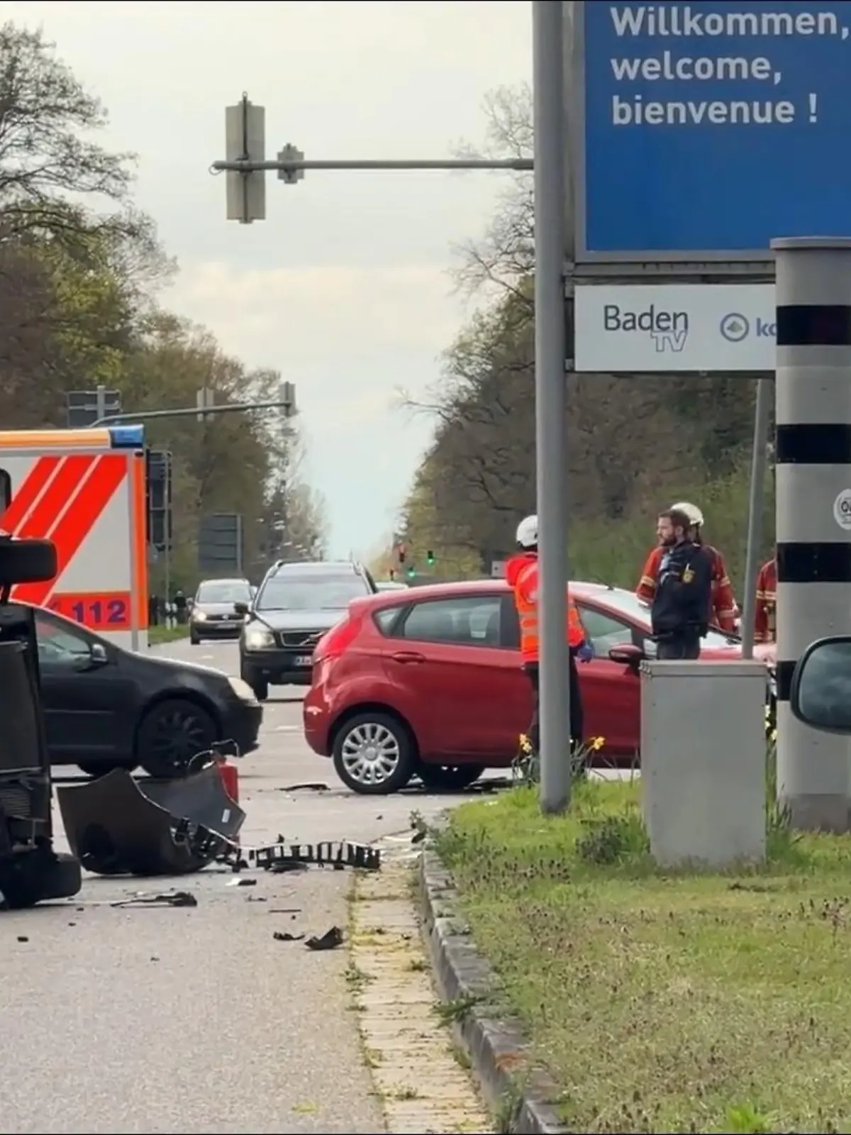 Bild zu: "Ameisen lösen in Karlsruhe Verkehrschaos aus"