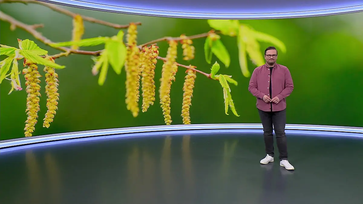 Aktuelle 3-Tage-Vorhersage Video Wetterbericht