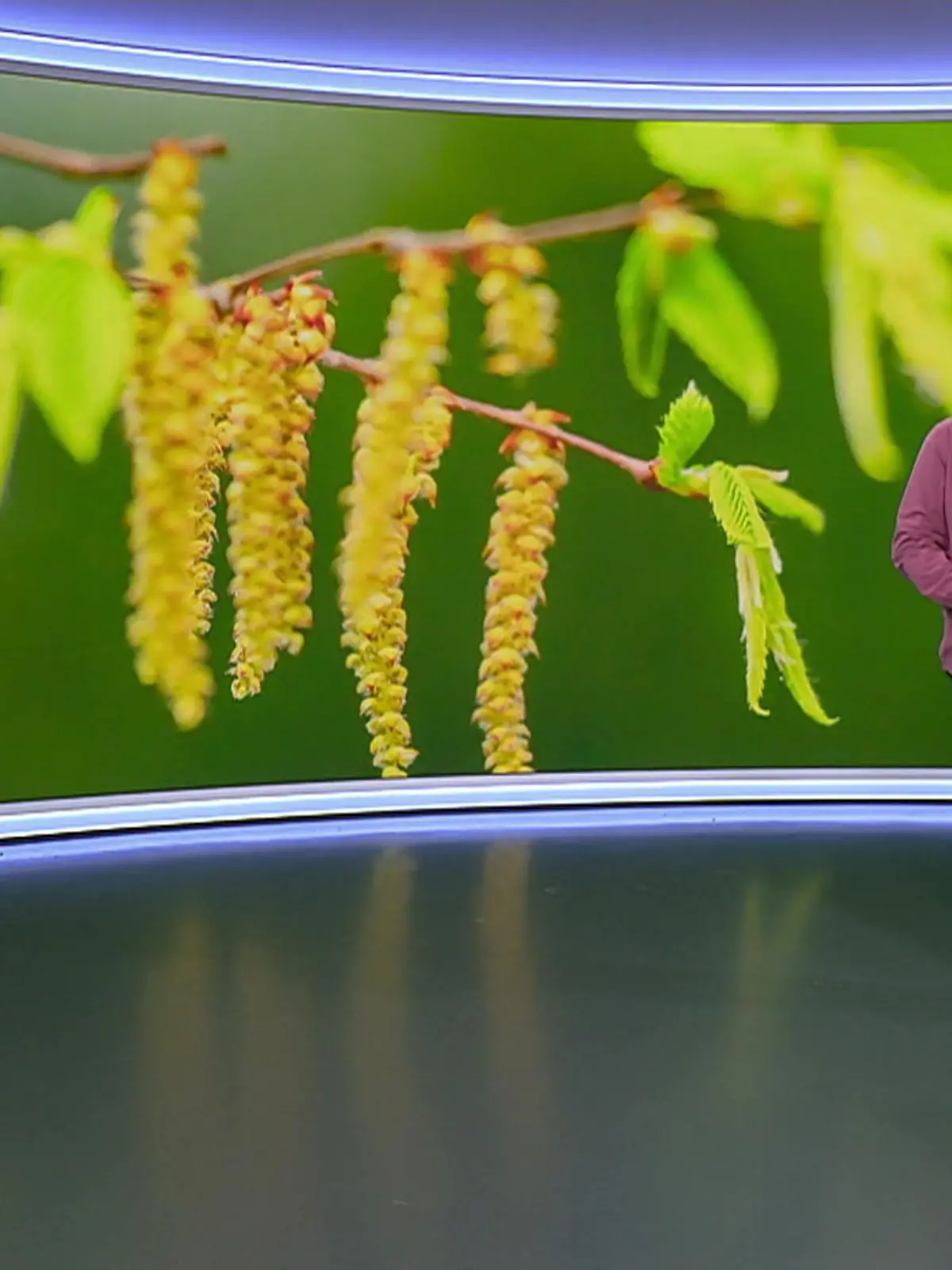 Bild zu: "Aktuelle 3-Tage-Vorhersage"