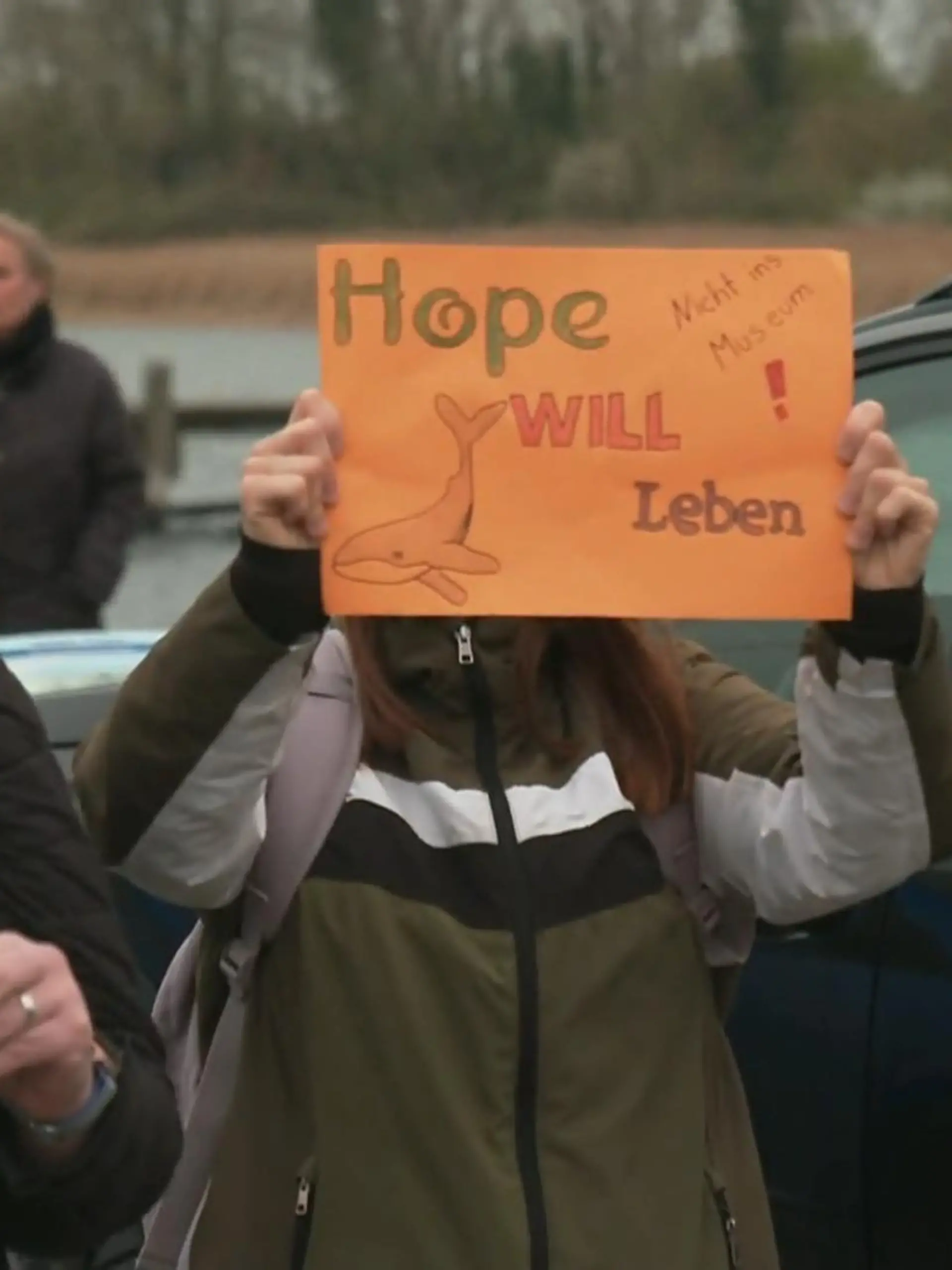 Bild zu: "Proteste und Morddrohungen! Emotionen um gestrandeten Wal in Wismar kochen über "