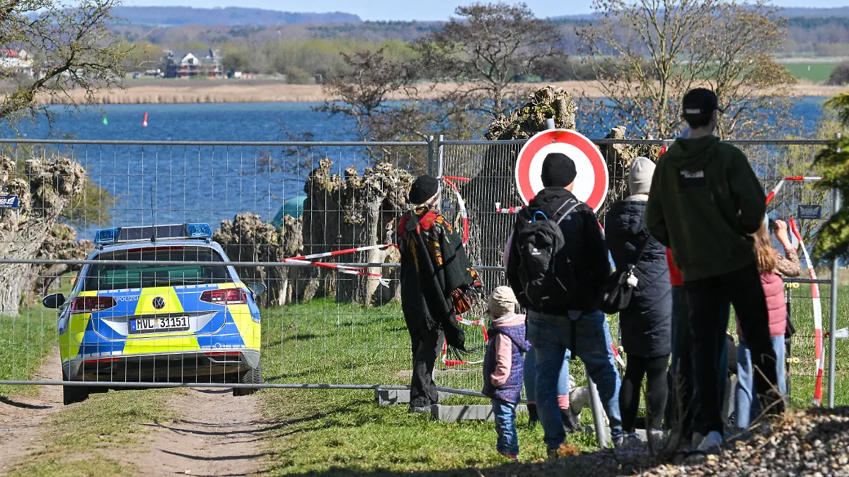 ++Deutschland++Wal stirbt vor Insel Poel++