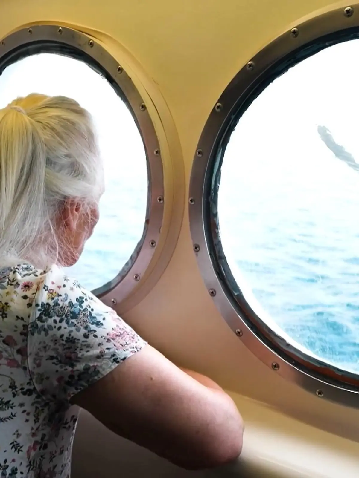 Bild zu: "Ruhestand auf See! Wie viel kosten Kabinen auf dem Kreuzfahrtschiff „Villa Vie Odyssey”?"