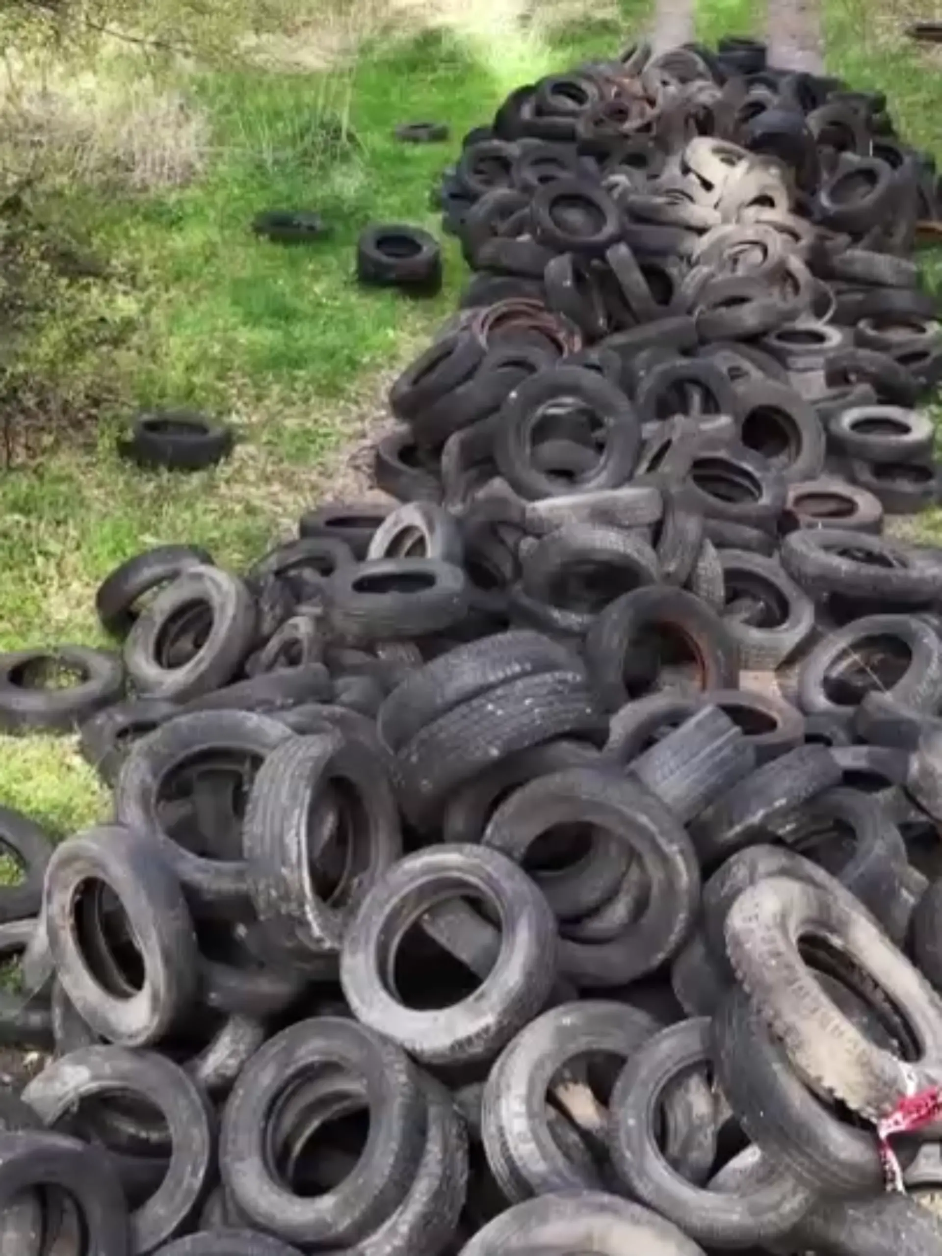Bild zu: "Unbekannte entsorgen hunderte Reifen im Wald! Und der Steuerzahler soll es bezahlen"