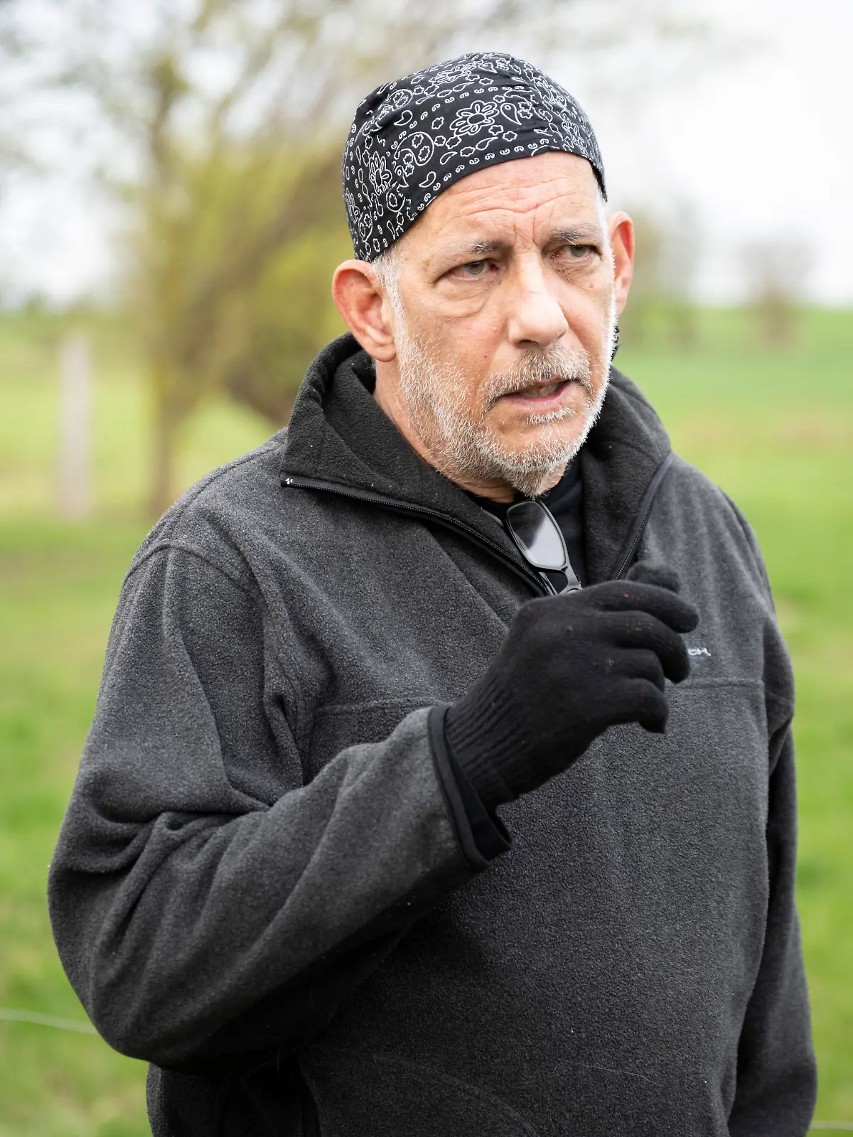 Rettungsaktion für den Buckelwal