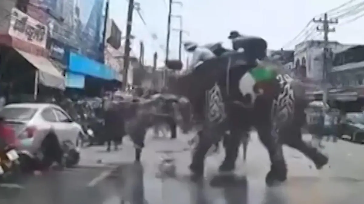 Bei über 40 Grad! Verkleideter Elefant rastet auf Parade aus – und verletzt Touristen Hitzewelle in Thailand 