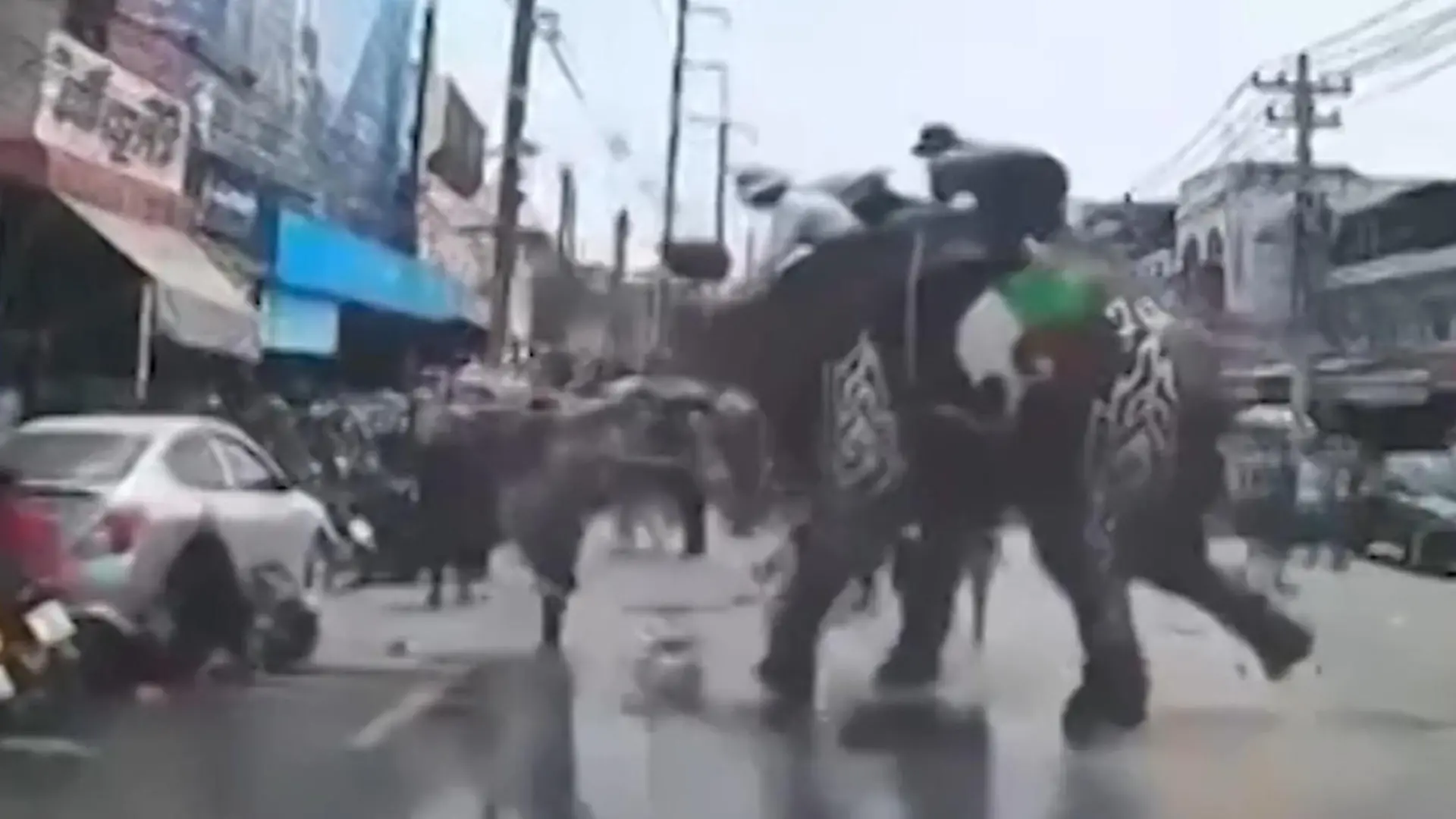 Bei über 40 Grad! Verkleideter Elefant rastet auf Parade aus – und verletzt Touristen Hitzewelle in Thailand