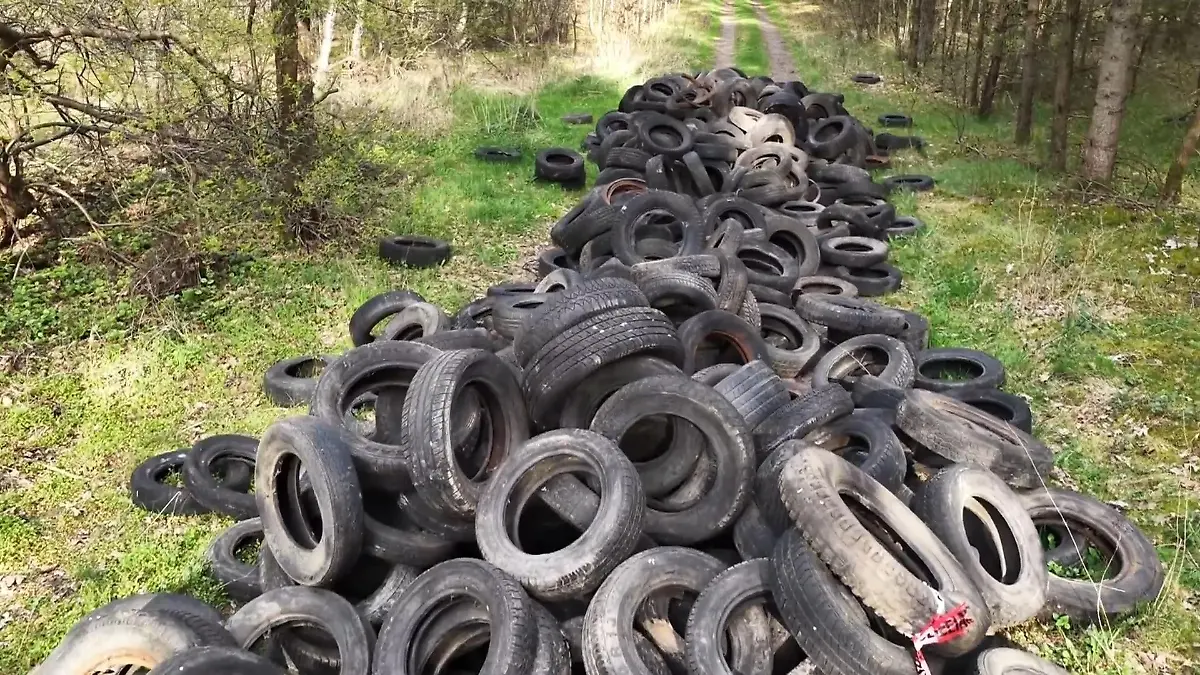Rund 300 Reifen entsorgt! Steuerzahler soll nun die Kosten tragen Einfach in den Wald geschmissen