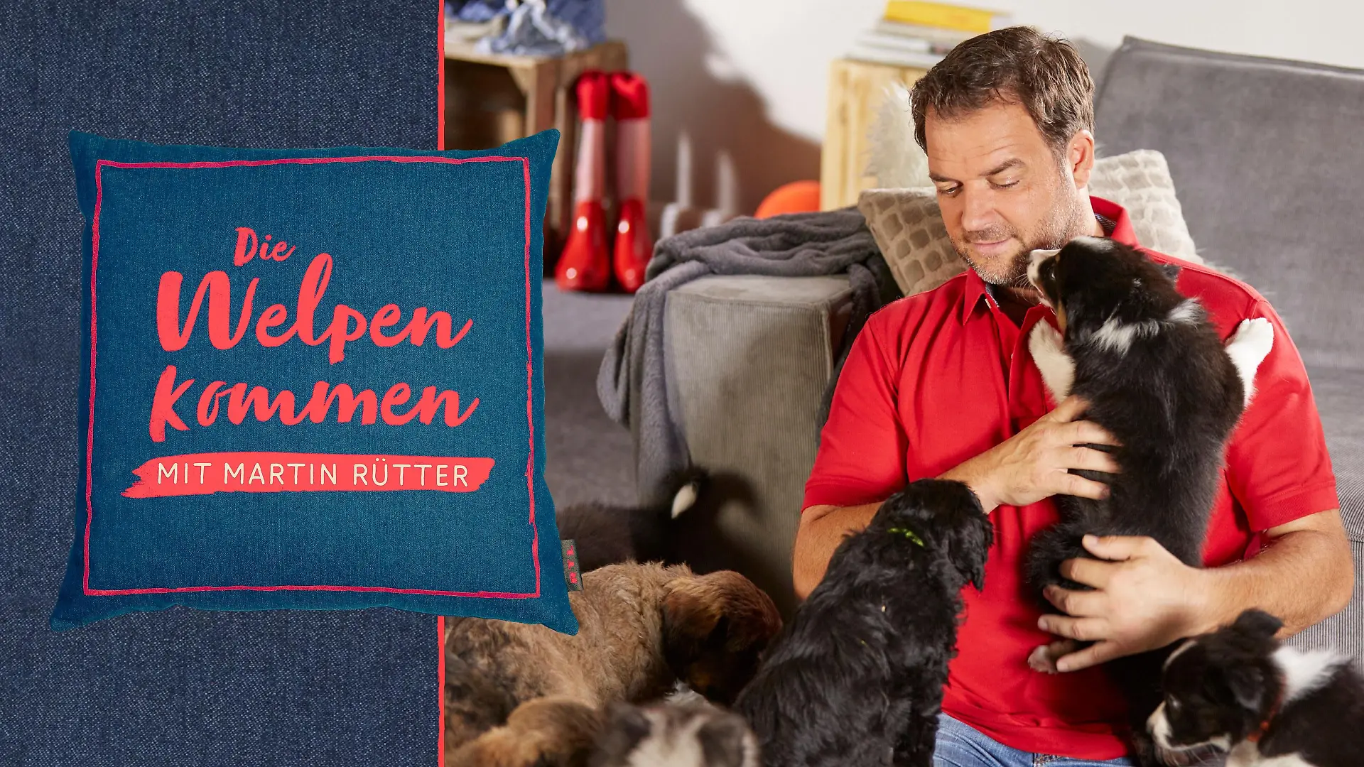 Die Welpen kommen - Mit Martin Rütter