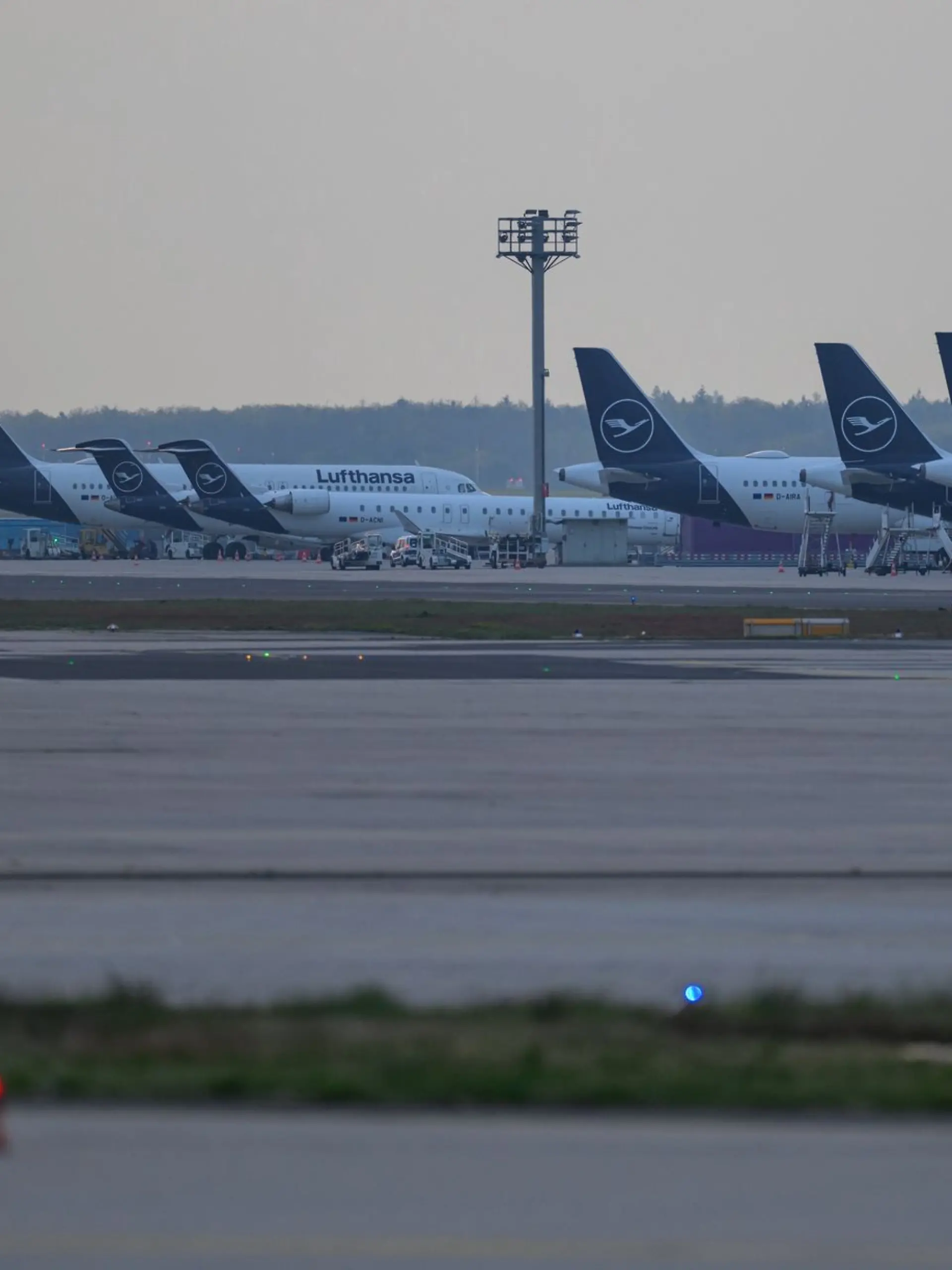 Bild zu: "Zweiter Malaria-Toter am Frankfurter Flughafen"