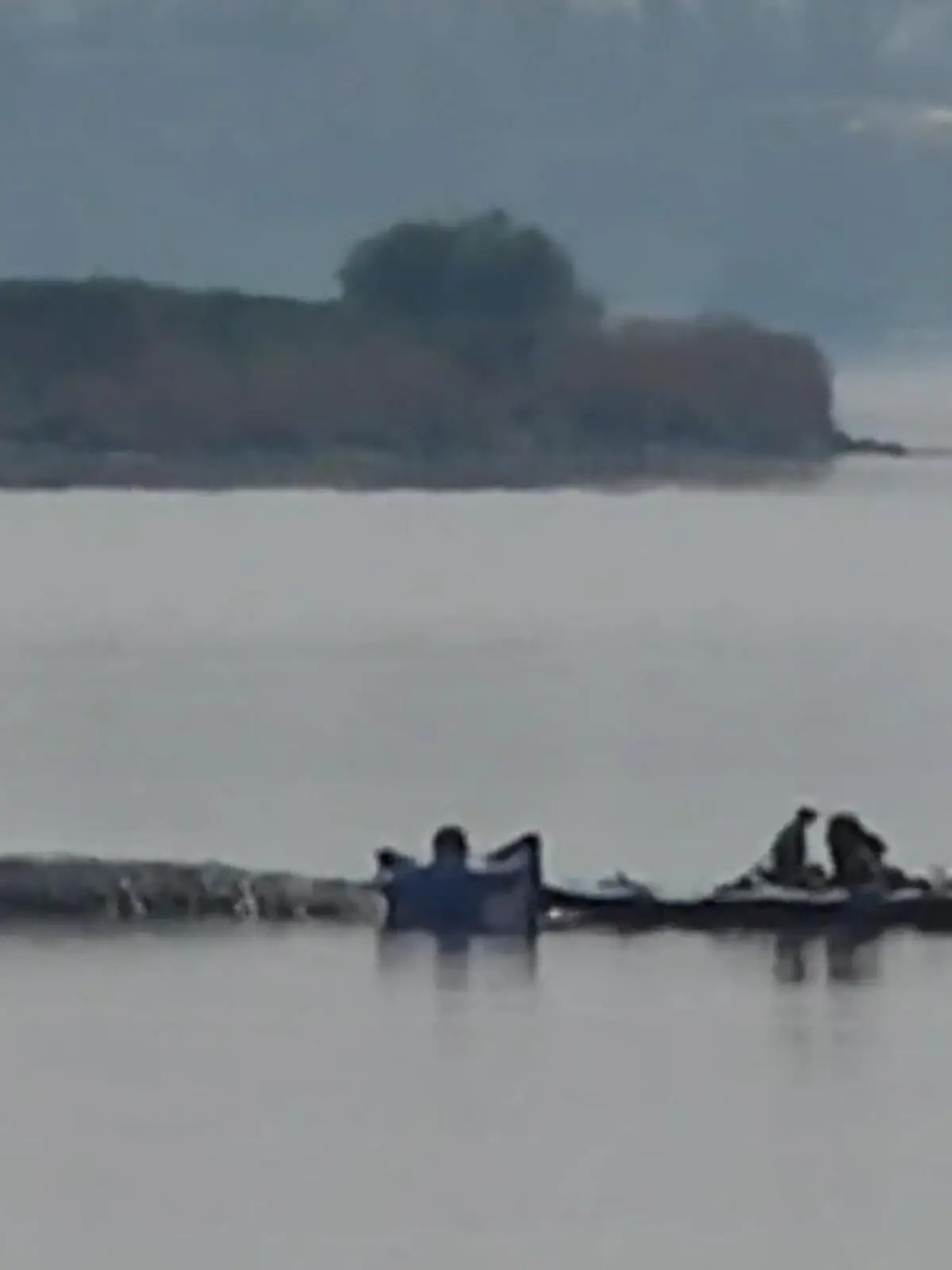 Bild zu: "Rettungsaktion für den Wal wird fortgesetzt"