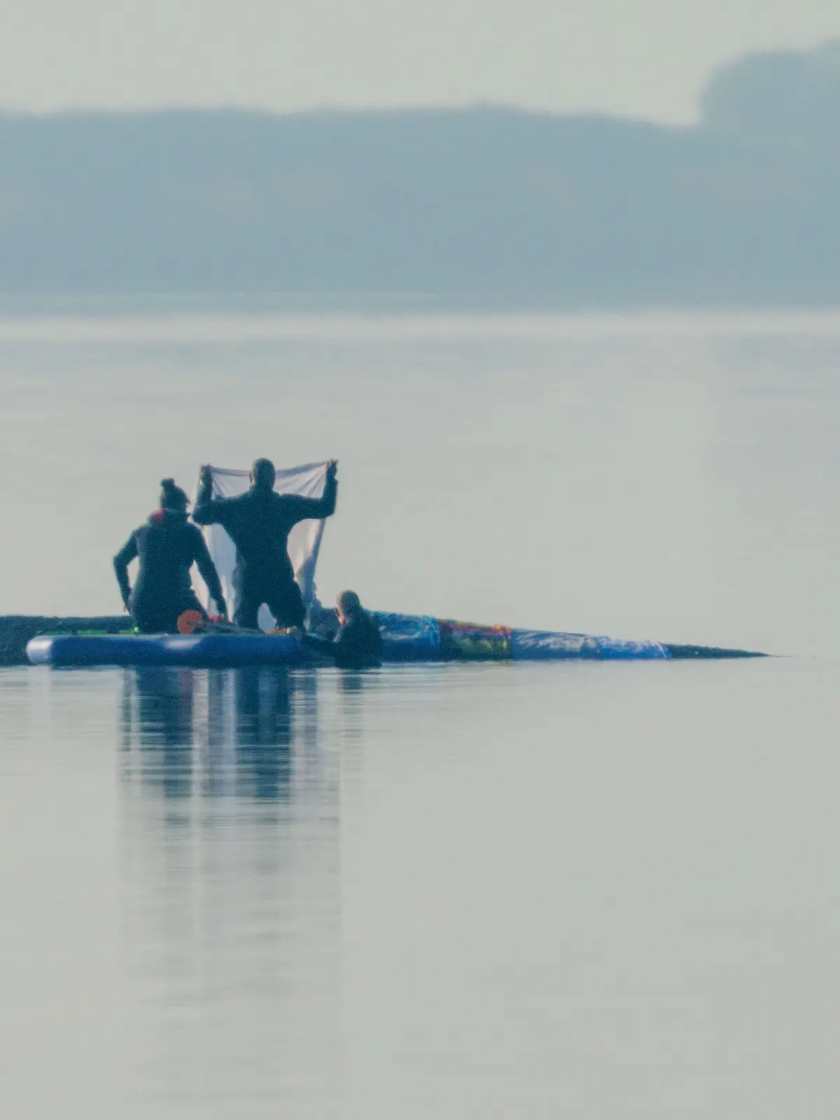 Rettungsaktion für den Buckelwal