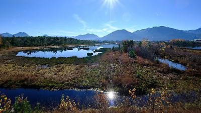 Deutschland: Regierung will Moorböden fast verdoppeln