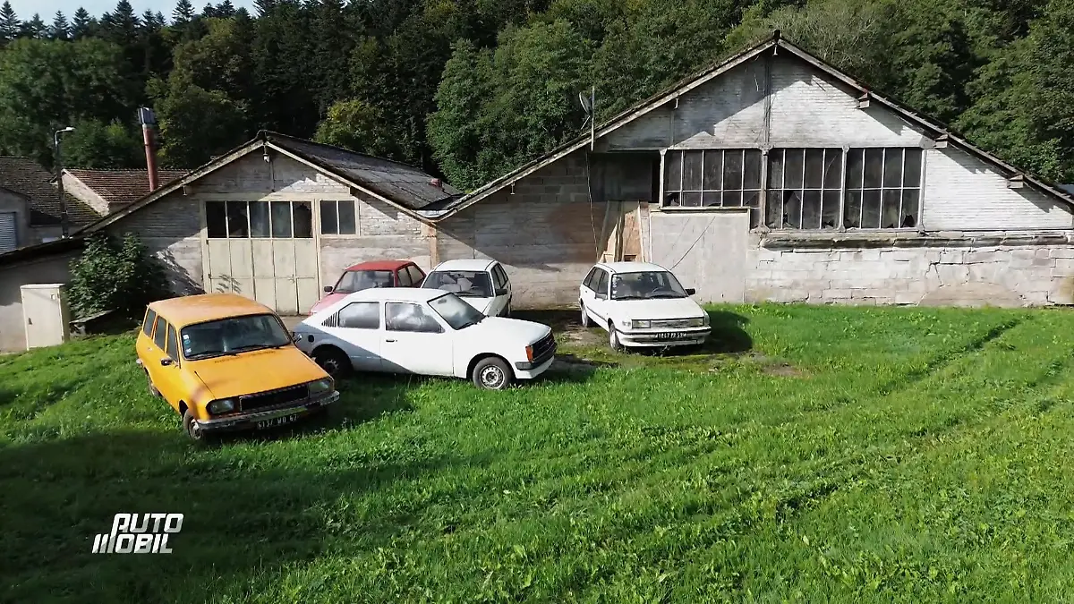 Oldtimer-Fund: Auto-Schatzsuche in den Vogesen Schatz oder Fiasko?