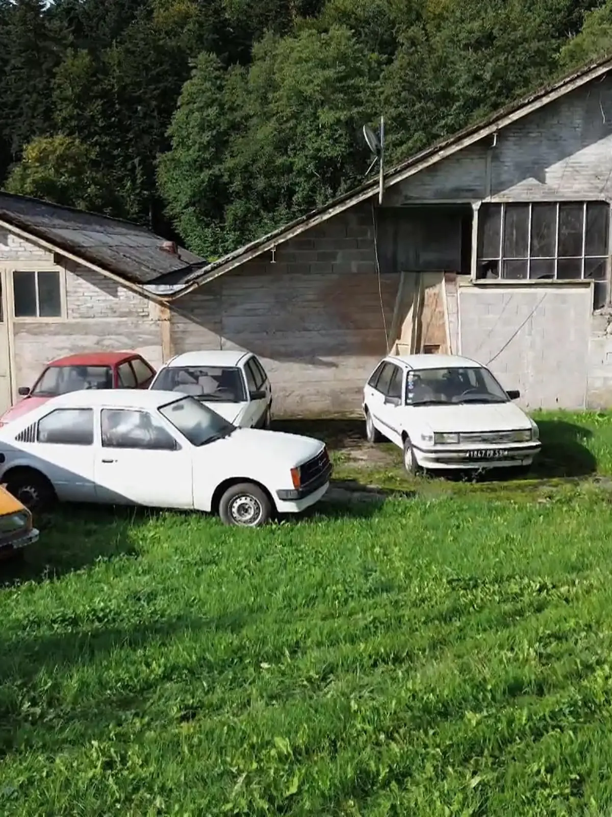 Bild zu: "Oldtimer-Fund: Auto-Schatzsuche in den Vogesen"