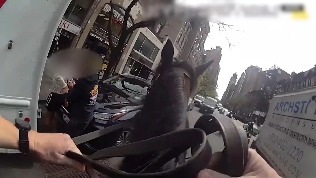 Rasante Verfolgungsjagd! Polizist auf Pferd jagt Diebin quer durch Manhattan Kuriose Szenen in New York