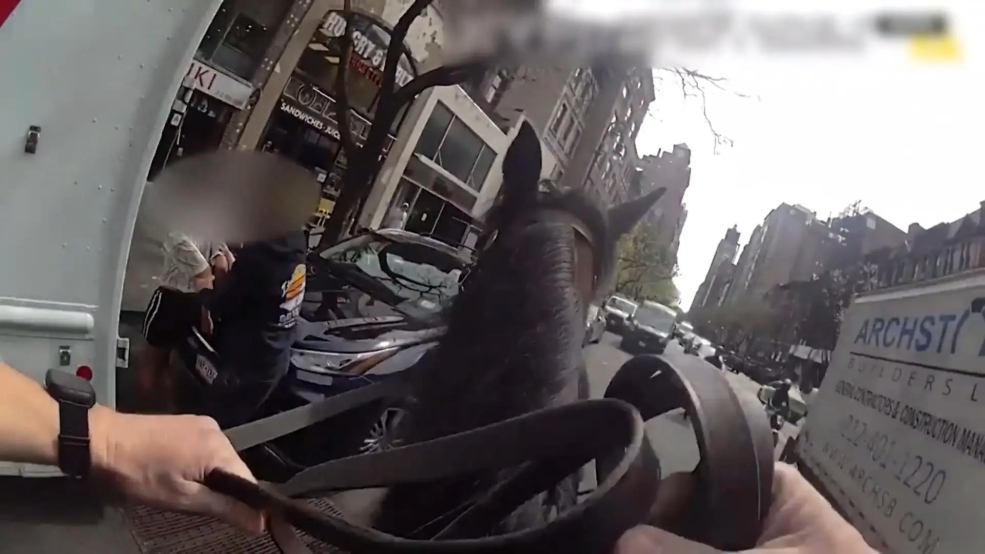 Rasante Verfolgungsjagd! Polizist auf Pferd jagt Diebin quer durch Manhattan Kuriose Szenen in New York