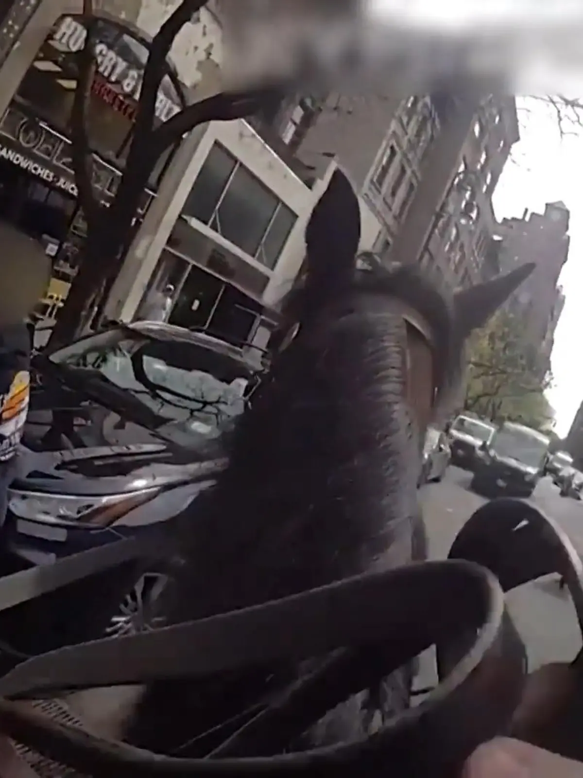 Bild zu: "Rasante Verfolgungsjagd! Polizist auf Pferd jagt Diebin quer durch Manhattan"