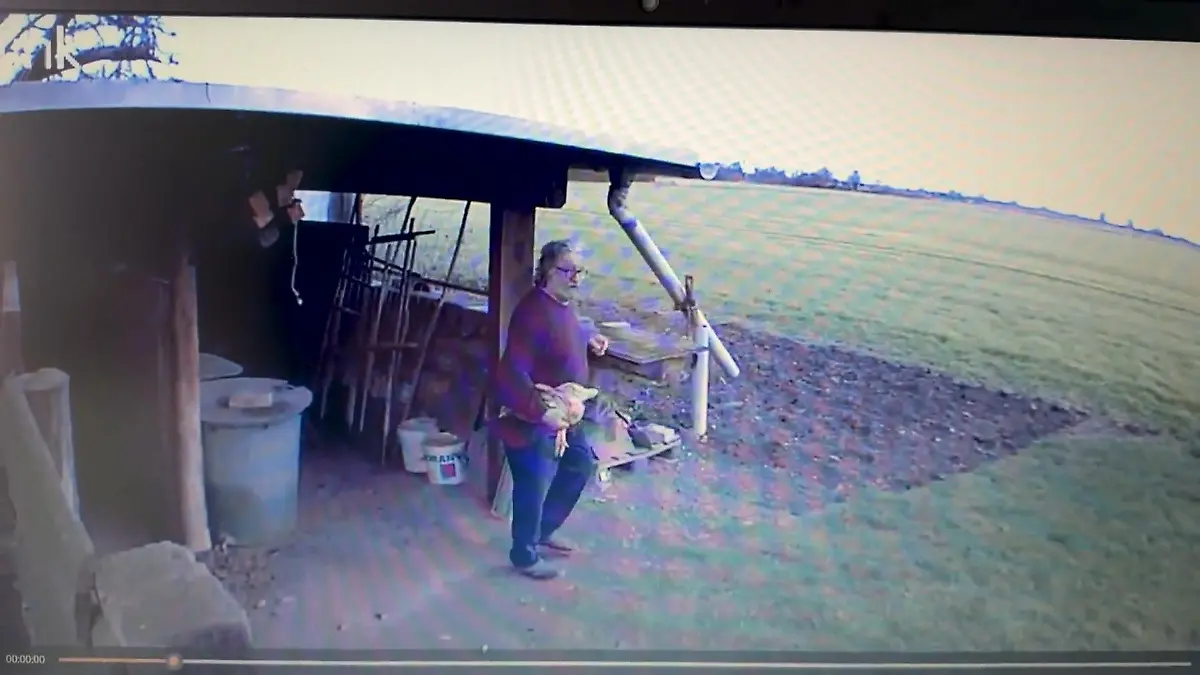 35 Jahre alter Nachbarschaftsstreit in Delitzsch eskaliert wegen Hühnern Berufungsprozess in Leipzig