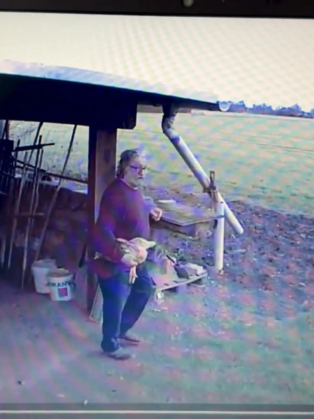 Bild zu: "35 Jahre alter Nachbarschaftsstreit in Delitzsch eskaliert wegen Hühnern"