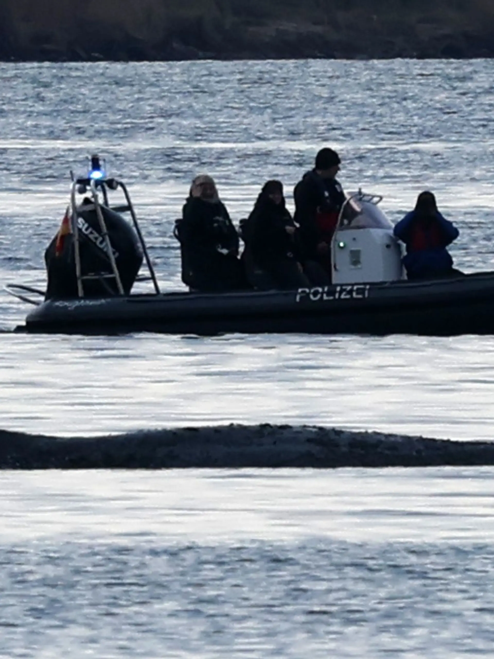 Bild zu: "Rettungsaktion für Ostsee-Wal: Diese Hürden gibt’s noch!"