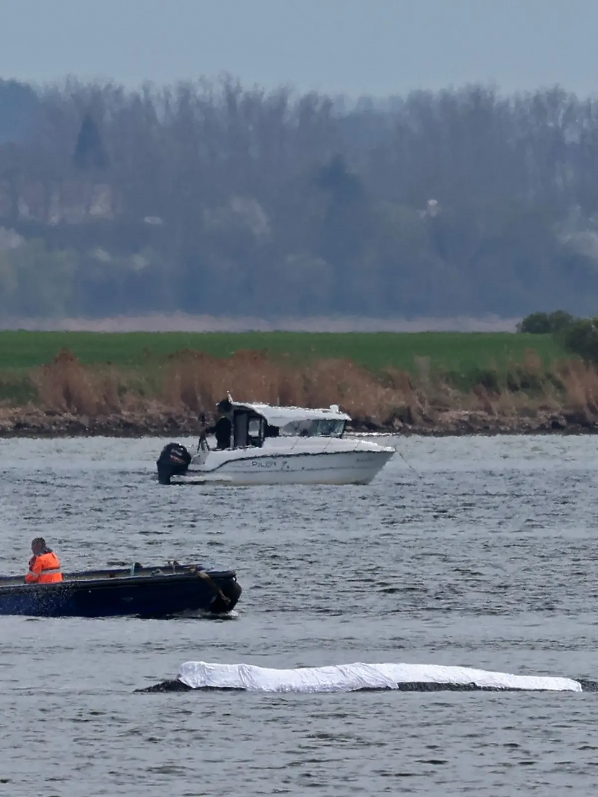 18.04.2026, Mecklenburg-Vorpommern, Kirchdorf: Ein Helfer korrigiert den Wasserstrahl zur Befeuchtung des Rückens des gestrandeten Buckelwals vor der Insel Poel. Der Rücken des Wals ist mit Tüchern abgedeckt. Für den bei Wismar gestrandeten Buckelwal soll ein neuer Rettungsversuch erfolgen. Umgesetzt werden soll das Konzept von einer privaten Initiative.