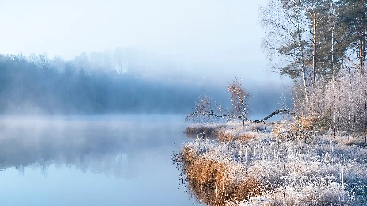 See in Deutschland, wo die Gräser von Frost bedeckt isnd