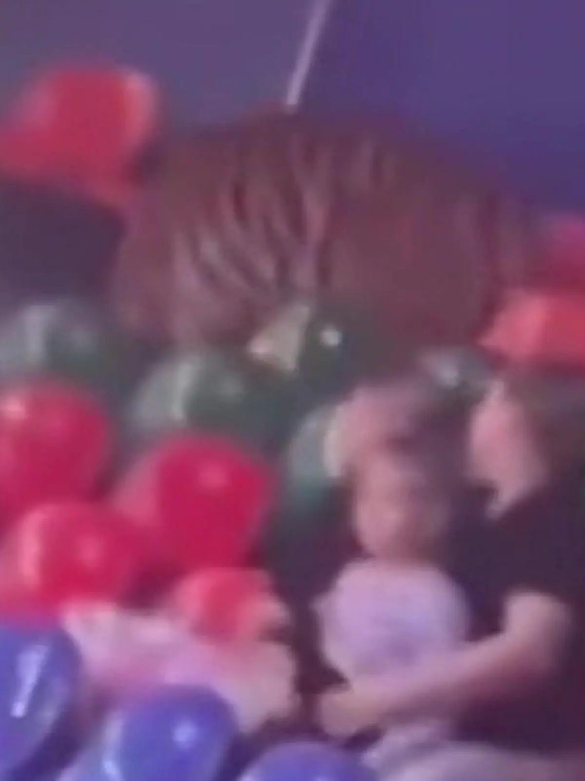 Bild zu: "Tiger sorgt für Panik! Raubtier bricht aus Manege aus – und kommt Familien gefährlich nahe"