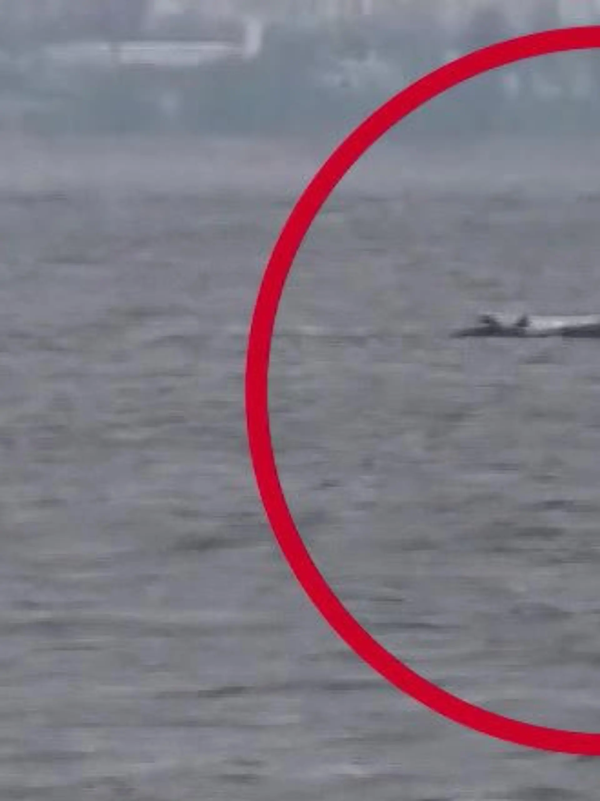 Bild zu: "Buckelwal Timmy kämpft weiter vor der Ostseeinsel Poel"