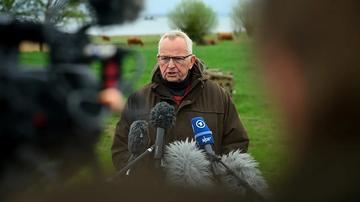 Humpback whale lies on a sandbank off the Baltic island of Poel