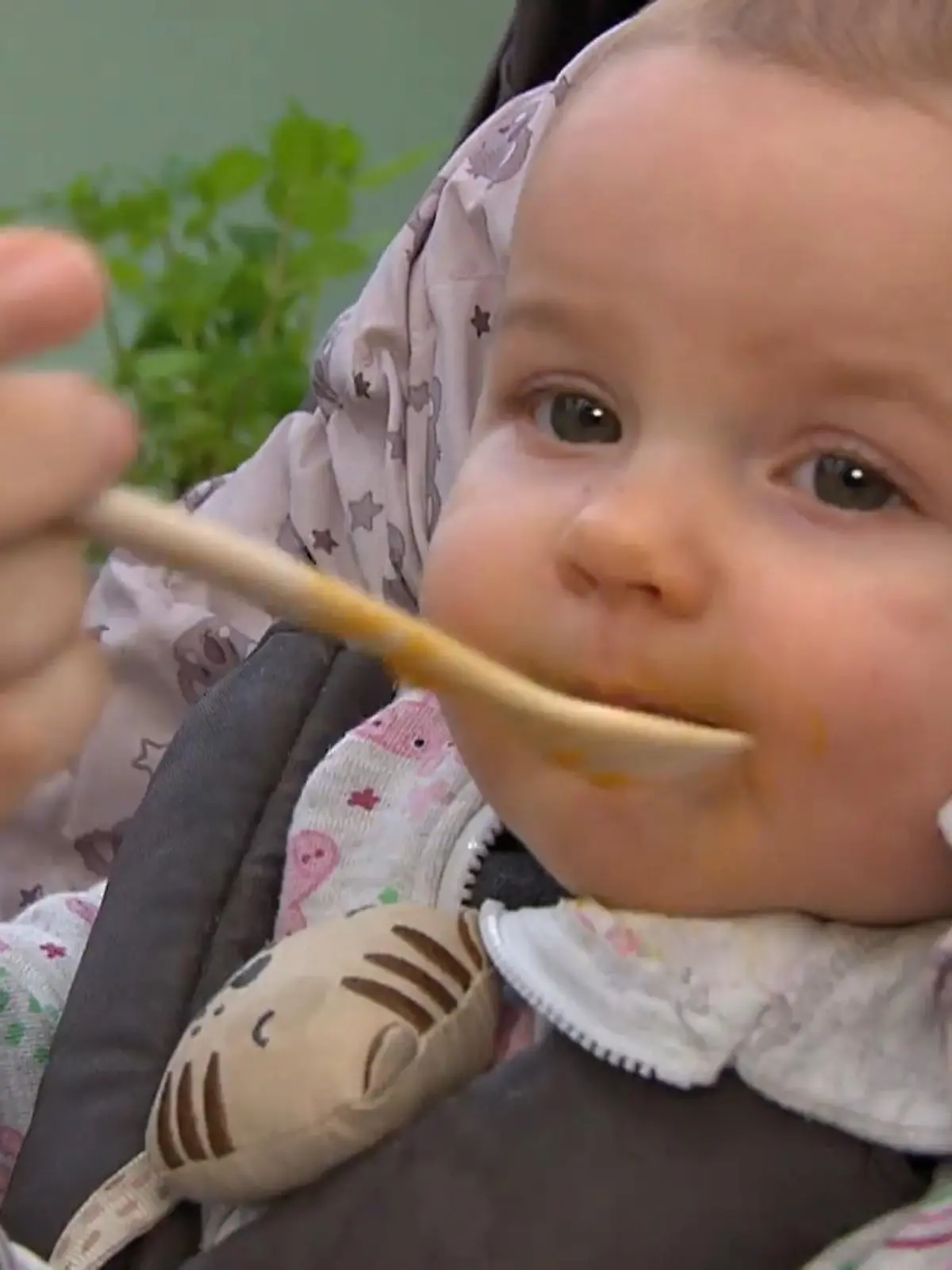Bild zu: "Wo ist das sechste Glas? Fieberhafte Suche nach Hipp-Erpressung"