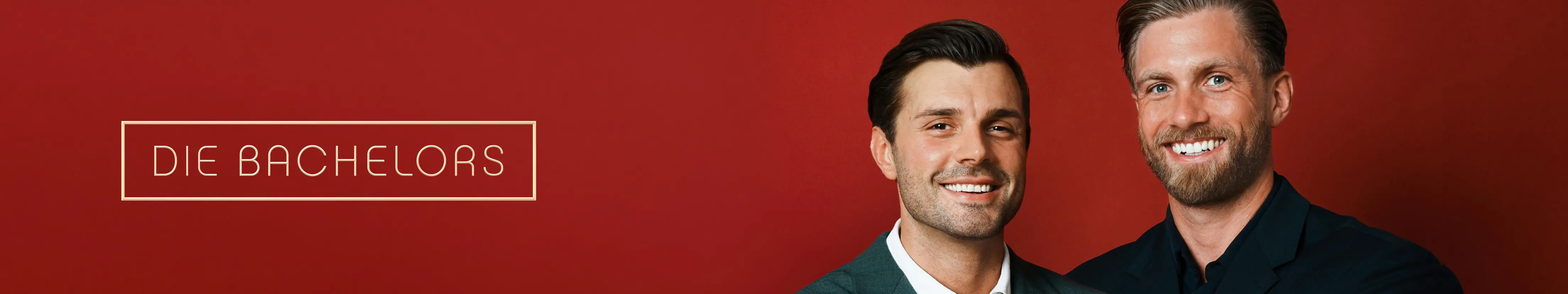 Die Bachelors Banner Desktop 202