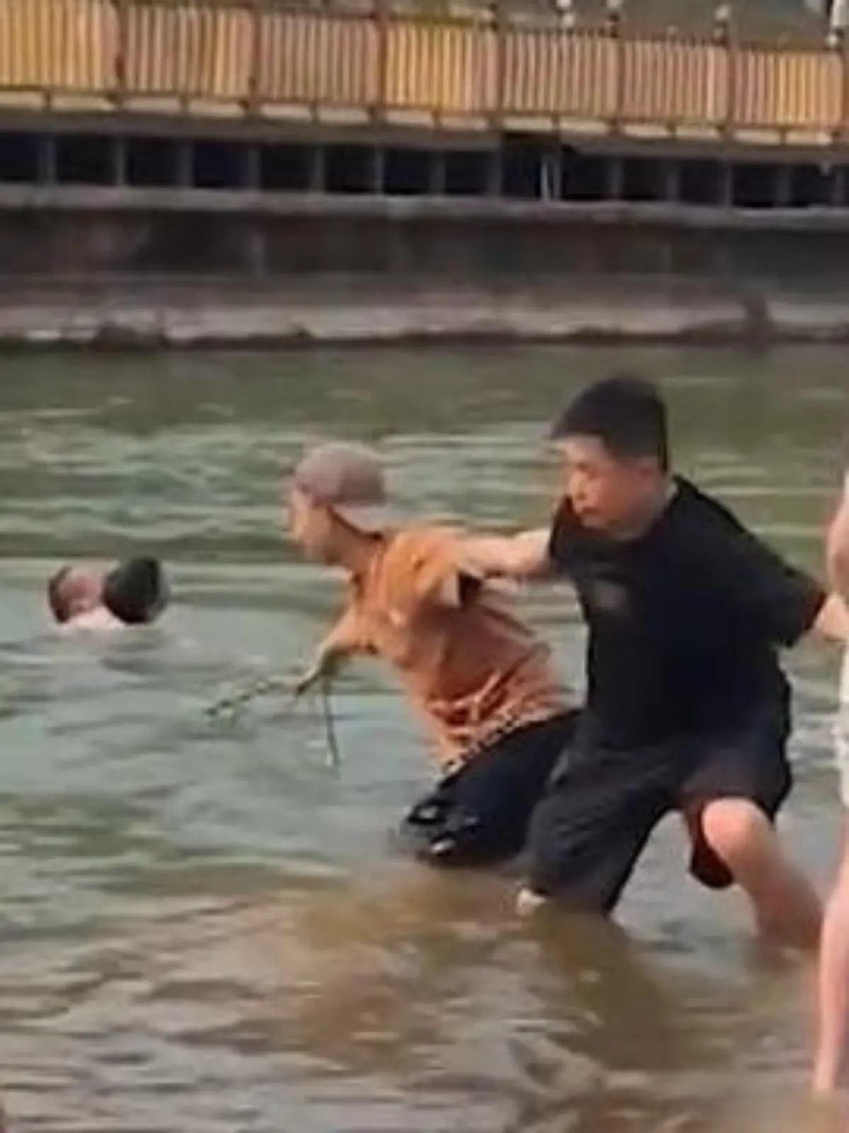 Bild zu: "Junge von Strömung mitgerissen – Rentner springt hinterher!"