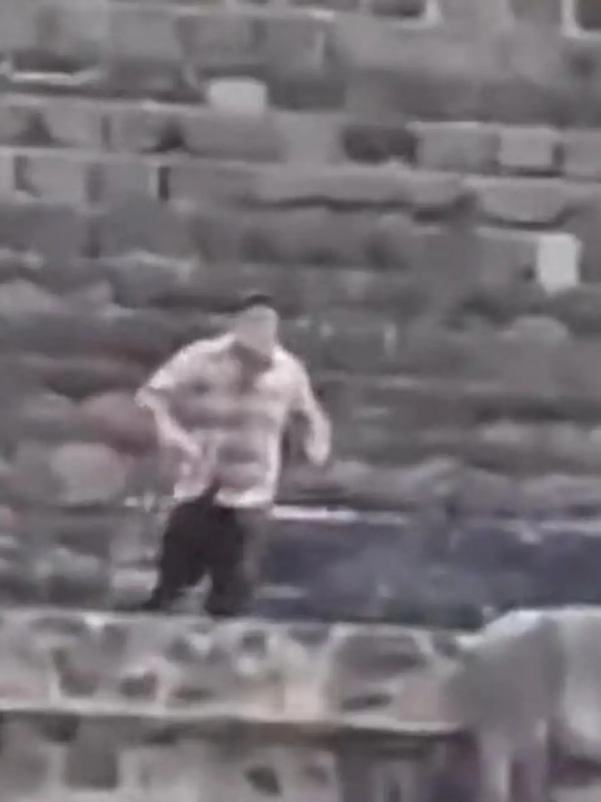 Bild zu: "Bluttat an berühmter Pyramide! Bewaffneter schießt um sich – Touristin stirbt"