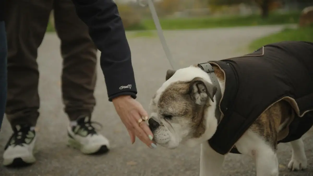 Detlef Steves trauert um seinen Hund Kai Uwe ist gestorben!