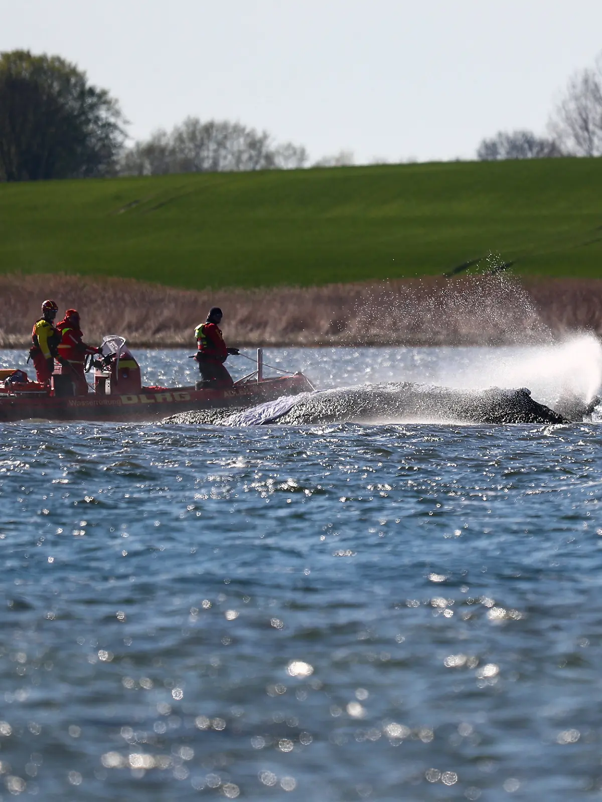 xStevenxMohrx/Imago/SNS UG