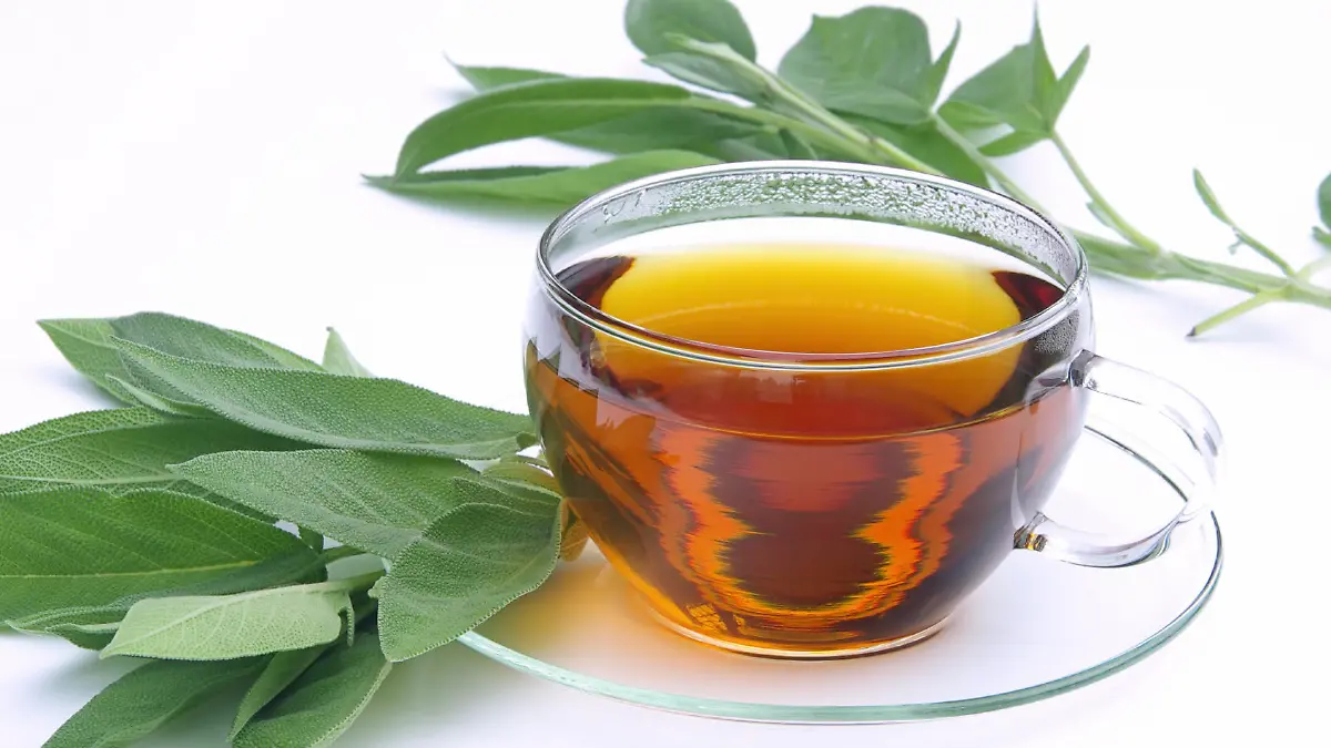 Tee Salbei - tea sage 01
