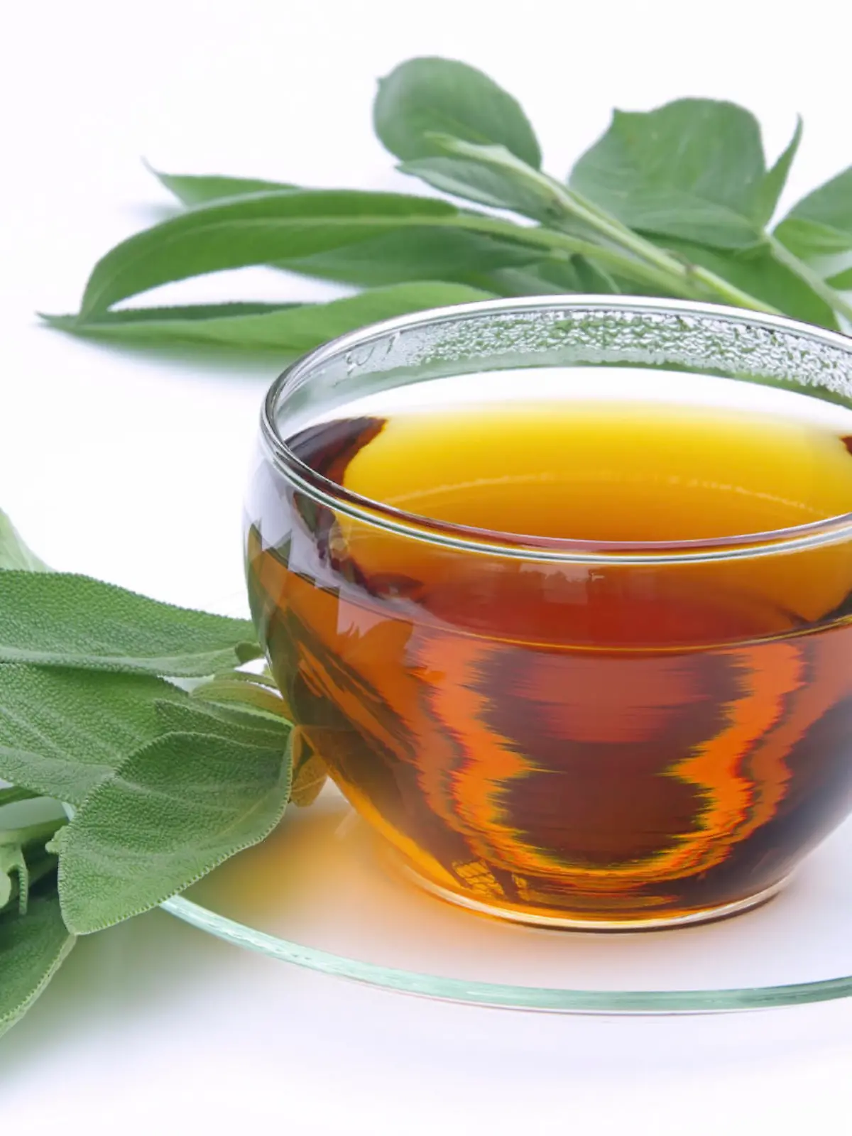 Tee Salbei - tea sage 01